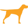 Bwana