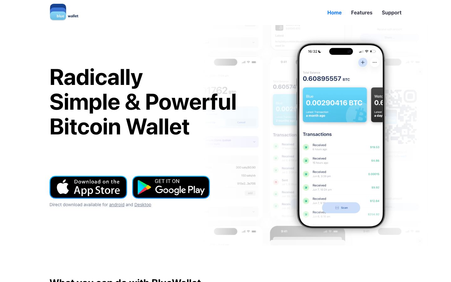 BlueWallet official website